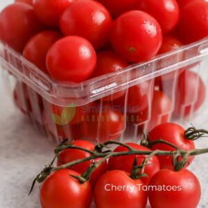 Tomatoes